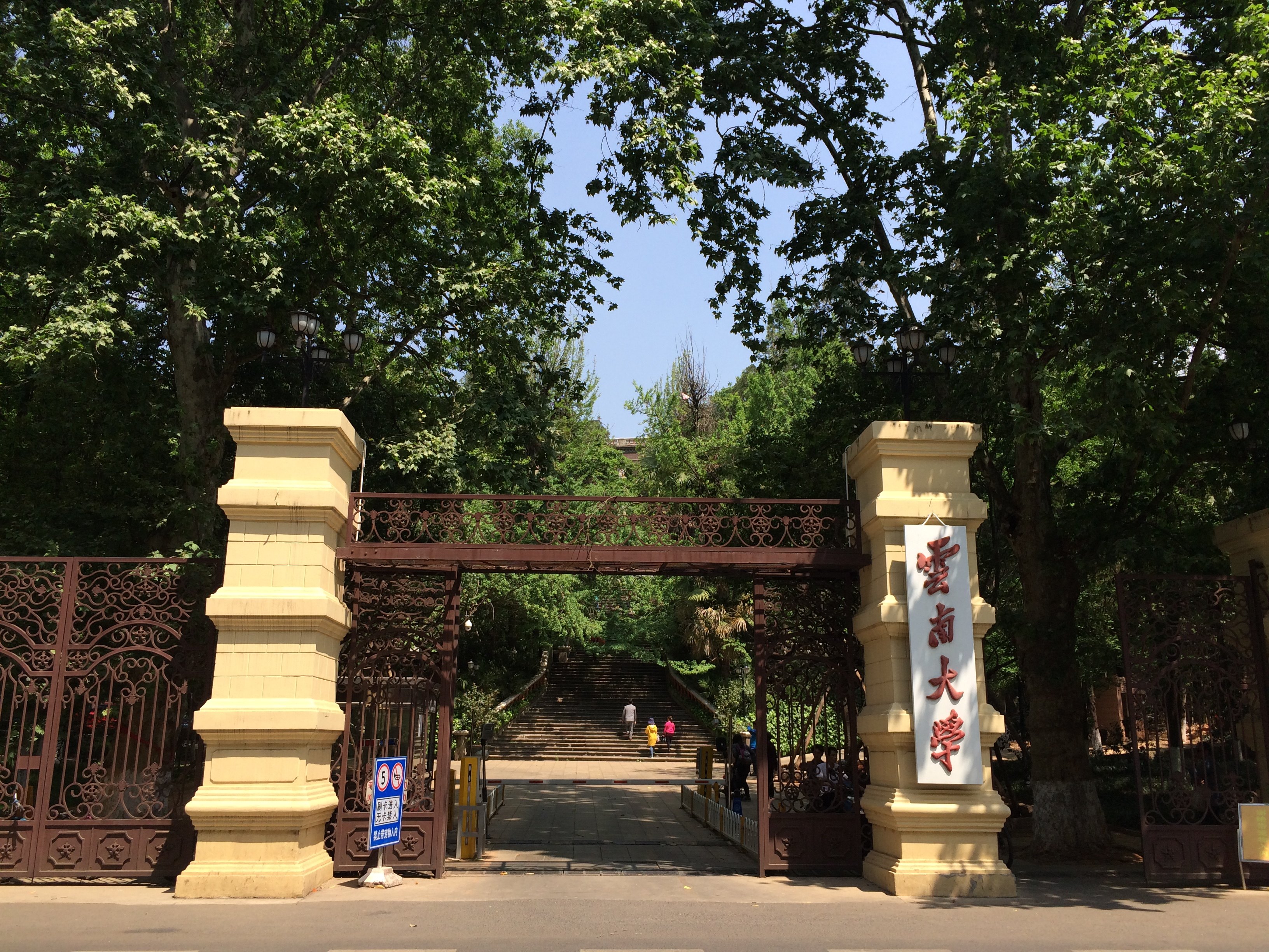 云南大学代码