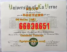 新疆大学文凭在企业能认可吗